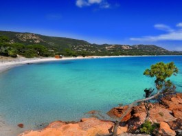 Mieux connaître l’Ile rousse en Corse
