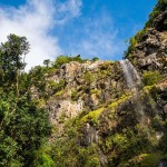 A la découverte du parc national des gorges de Rivière Noire