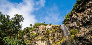 A la découverte du parc national des gorges de Rivière Noire