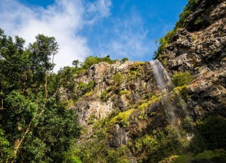 A la découverte du parc national des gorges de Rivière Noire