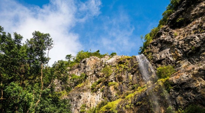 A la découverte du parc national des gorges de Rivière Noire