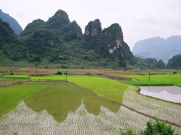 Escapade à Cao Bằng pour voir les villages et les minorités éthniques de la région.