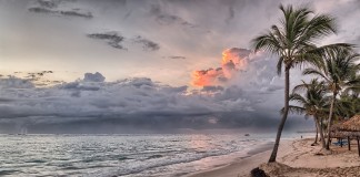 Un périple hors du commun au Brésil