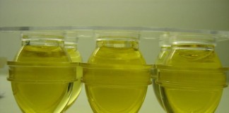 Les huiles essentielles : pour la santé, le corps et le bain