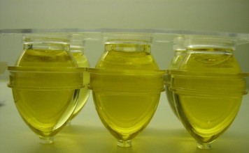 Les huiles essentielles : pour la santé, le corps et le bain