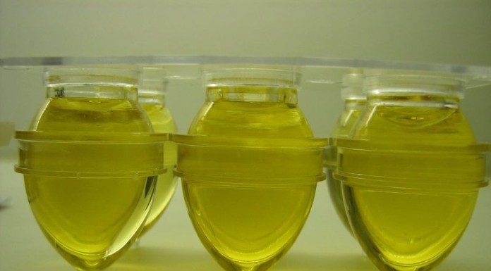 Les huiles essentielles : pour la santé, le corps et le bain