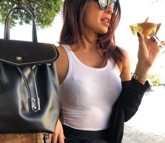 Le sac à main de luxe à portée de main