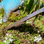 Comment bien aménager son jardin ?