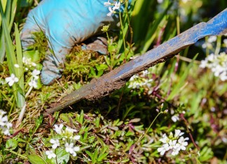 Comment bien aménager son jardin ?