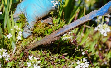 Comment bien aménager son jardin ?