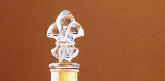 Le Konjac : excellent pour la santé et l’amincissement