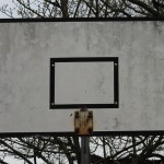 Panier de basket : sont-ils efficaces pendant des années?