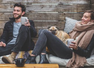 Animal domestique : Le collier anti-aboiement, à quoi sert-il ?