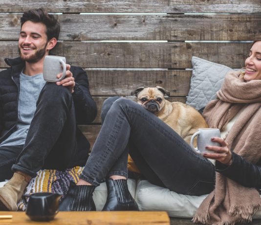 Animal domestique : Le collier anti-aboiement, à quoi sert-il ?