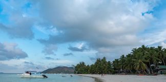 Voyage aux Seychelles : trois endroits immanquables à découvrir à Praslin