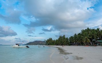 Voyage aux Seychelles : trois endroits immanquables à découvrir à Praslin