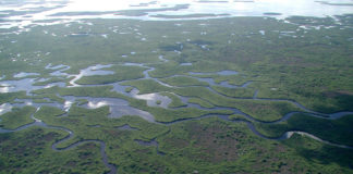 Vacances aux USA : 2 idées d’endroits intéressants à découvrir en famille