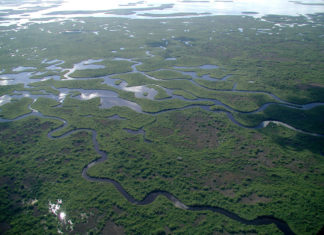 Vacances aux USA : 2 idées d’endroits intéressants à découvrir en famille