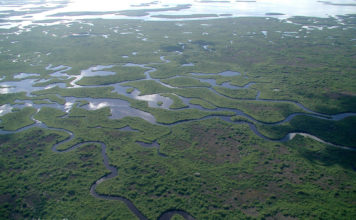 Vacances aux USA : 2 idées d’endroits intéressants à découvrir en famille