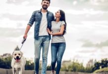 Vivre en toute sérénité avec le chien : comment y arriver ?