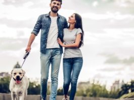 Vivre en toute sérénité avec le chien : comment y arriver ?