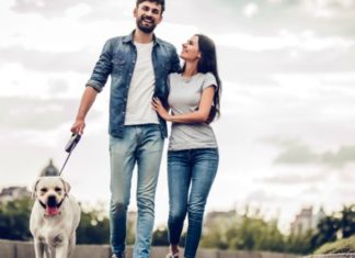 Vivre en toute sérénité avec le chien : comment y arriver ?