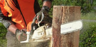 Quels sont les avantages des travaux d’élagage d’arbre ?