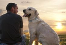 La relation de l’homme avec un chien