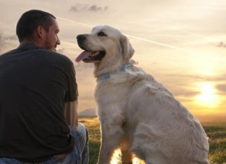 La relation de l’homme avec un chien