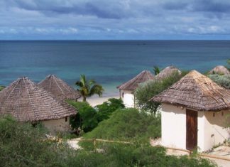Trois parcs dignes d’intérêts dans le Sud de Madagascar