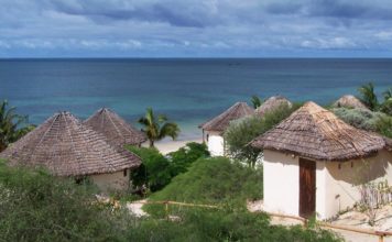 Trois parcs dignes d’intérêts dans le Sud de Madagascar