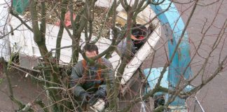 4 astuces pour réussir les travaux d’élagage