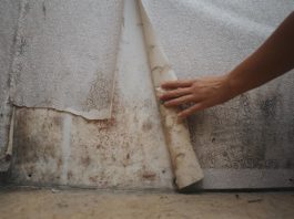 Tout savoir sur l’humidité dans un endroit