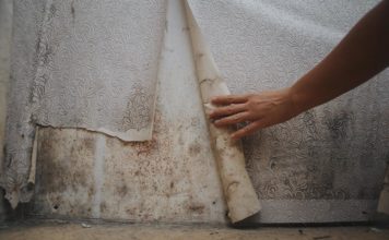 Tout savoir sur l’humidité dans un endroit