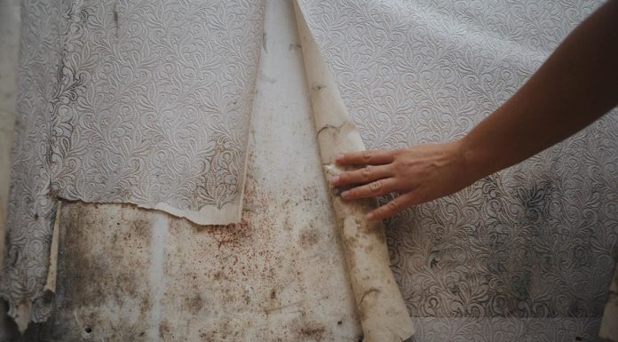 Tout savoir sur l’humidité dans un endroit