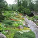 Conseils en aménagement de jardin, suivez le guide