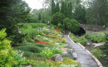 Conseils en aménagement de jardin, suivez le guide