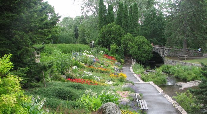 Conseils en aménagement de jardin, suivez le guide