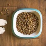 Pourquoi opter pour des croquettes de qualité Premium ?