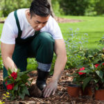 3 conseils pour embaucher le jardinier idéal près de chez vous
