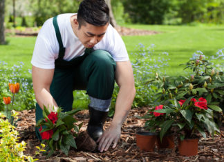 3 conseils pour embaucher le jardinier idéal près de chez vous