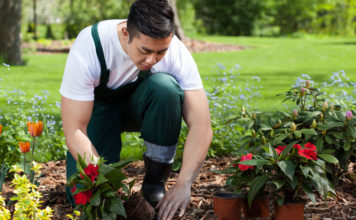 3 conseils pour embaucher le jardinier idéal près de chez vous