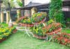 Décorer son jardin