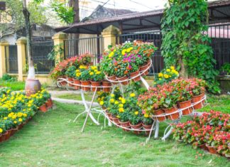 Décorer son jardin : quelques idées simples à mettre en œuvre Décorer son jardin