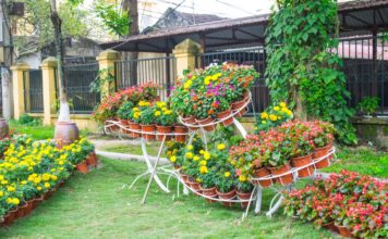 Décorer son jardin : quelques idées simples à mettre en œuvre Décorer son jardin