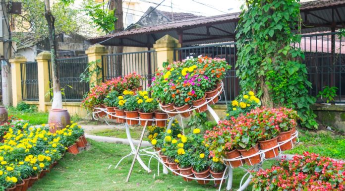 Décorer son jardin : quelques idées simples à mettre en œuvre Décorer son jardin