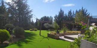 Pourquoi investir dans le gazon synthétique en 2024 ? gazon synthétique