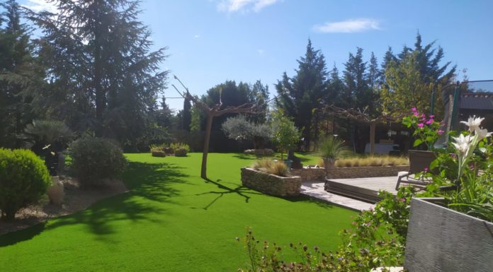 Pourquoi investir dans le gazon synthétique en 2024 ? gazon synthétique