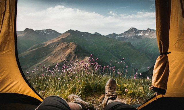 Quelles sont les meilleures destinations écologiques? les meilleures destinations écologiques