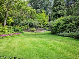 Rôle des Paysagistes en France pour Vos Travaux d’Aménagements Extérieurs Paysagistes en France